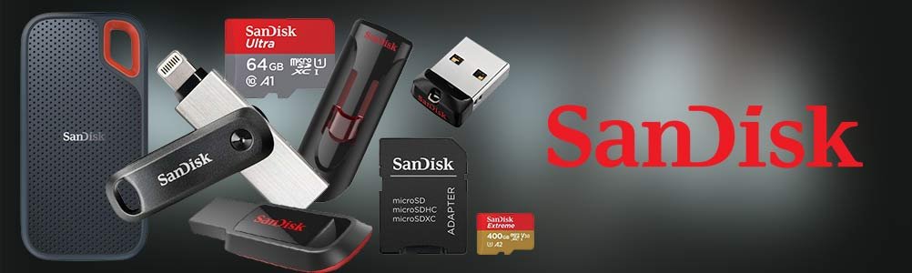 Variety of Sandisk Products