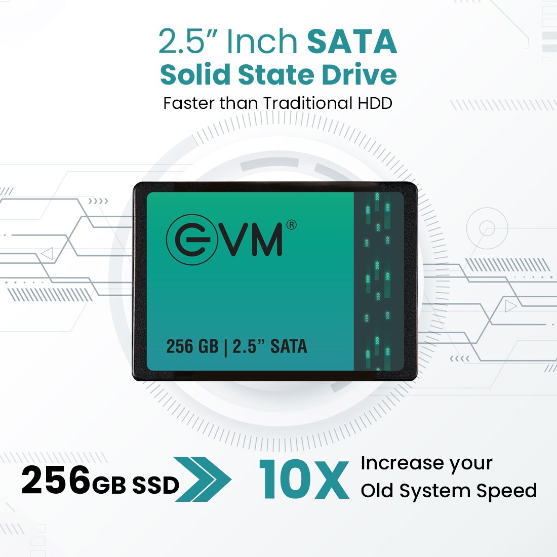 Harddisk EVM EVM25/256GB 2.5 Inch SATA 3.0 Internal SSD | Read 550MB/s & Write Speed 500MB/s