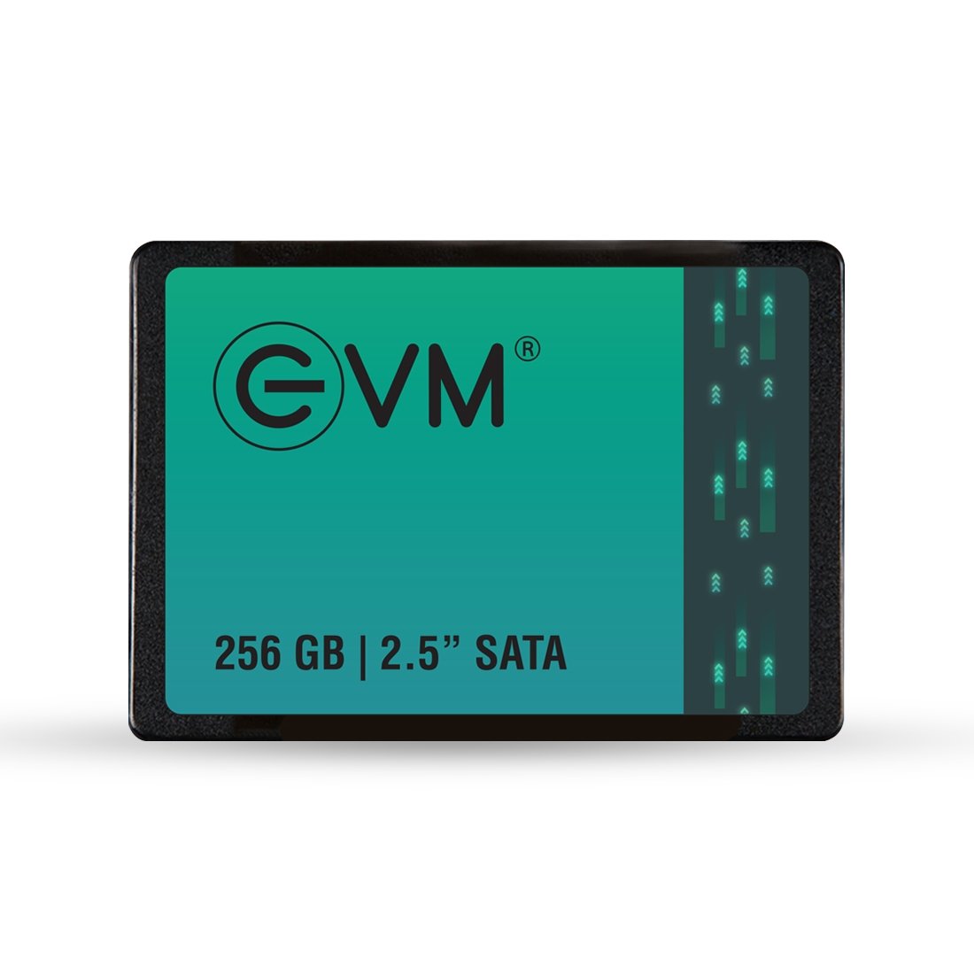Harddisk EVM EVM25/256GB 2.5 Inch SATA 3.0 Internal SSD | Read 550MB/s & Write Speed 500MB/s