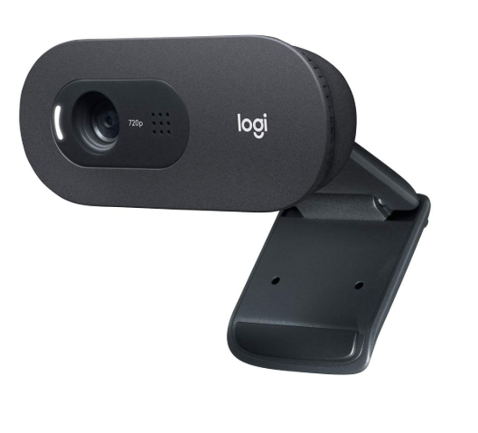 Webcamera Logitech C505 HD | 720p HD External USB Camera for Desktop or Laptop with Long-Range Microphone, Compatible with PC or Mac - Grey
