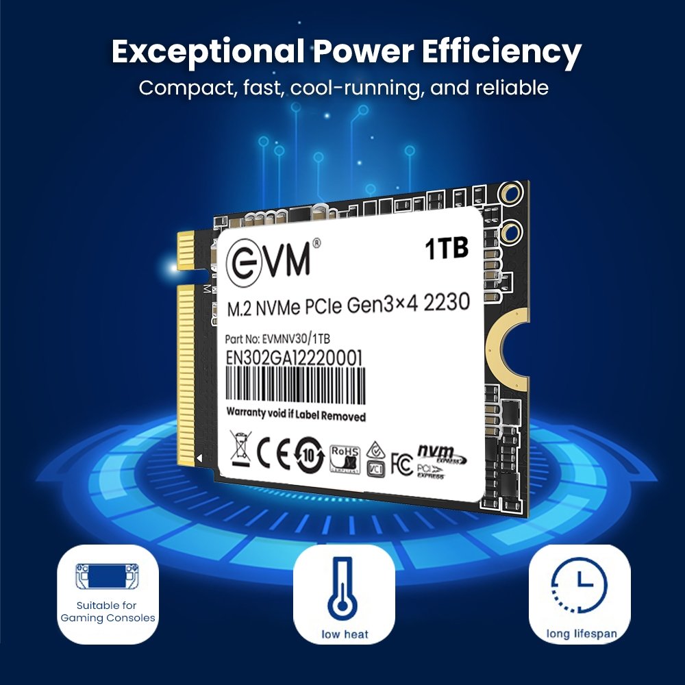 Harddisk EVM EVMNV30/1TB M.2 NVME PCle Gen 3x4 (2230) SSD | 3D NAND Flash, High Speed Performance Up to 3000MB/s Read & 1900MB/s Write Speed